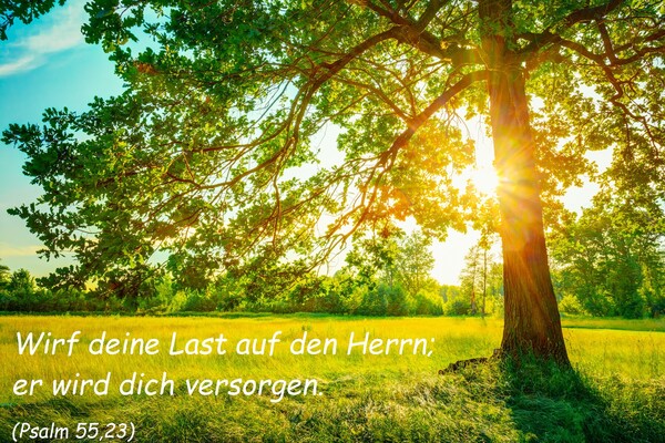 Baum mit Spruch